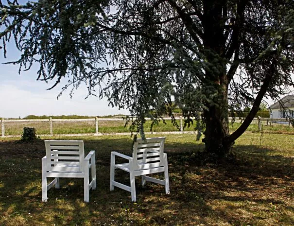 vu coin détente pour passer des vacance Prés du Château d'Amboise